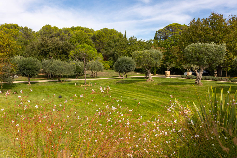 Exterieur_vert_vegetation__convivial_marius_Vence