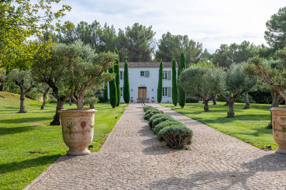 Olivier_provence_bastide